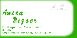 anita mizser business card